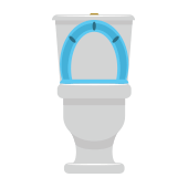 Toilet Vector Illustration