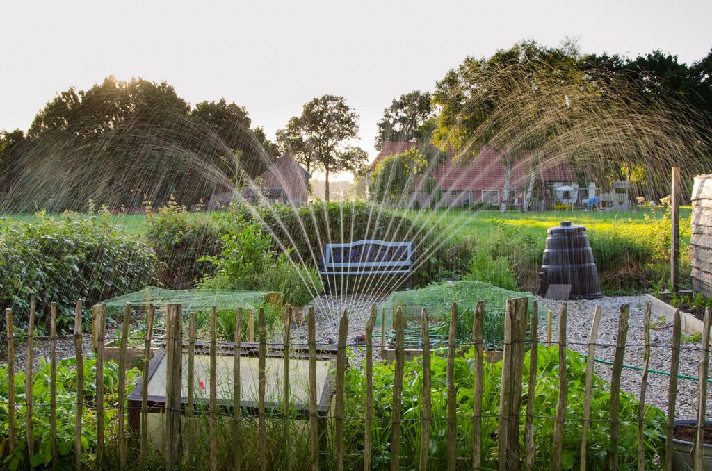 Sprinkler watering garden