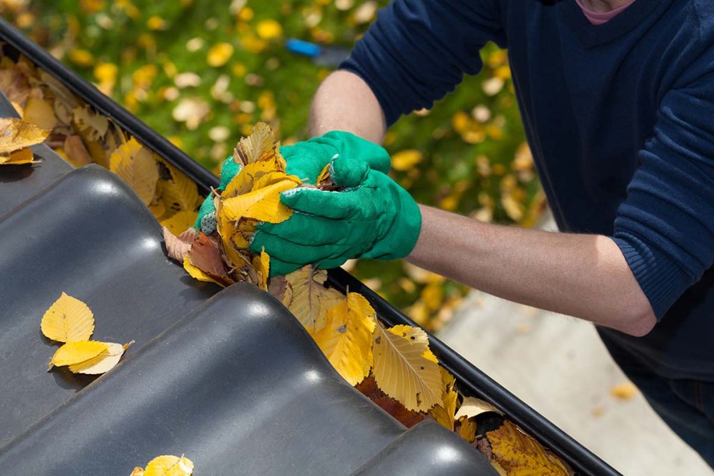 Person cleaning leaves out of house gutters